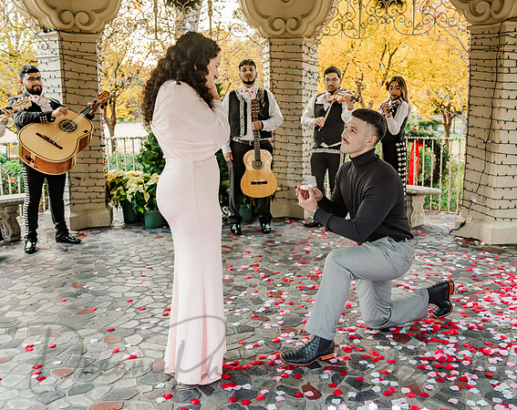 Jasyn & Brianna Wedding Proposal-14