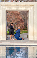 Betty & Zacharias Maternity & Wedding Proposal