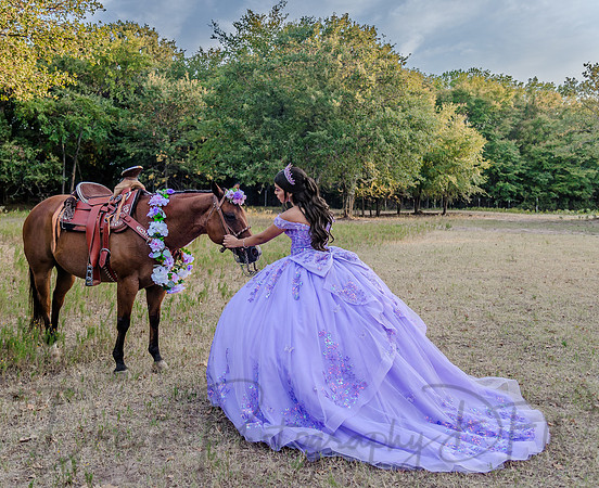 Esmeralda Bustillos Quinceanera-41