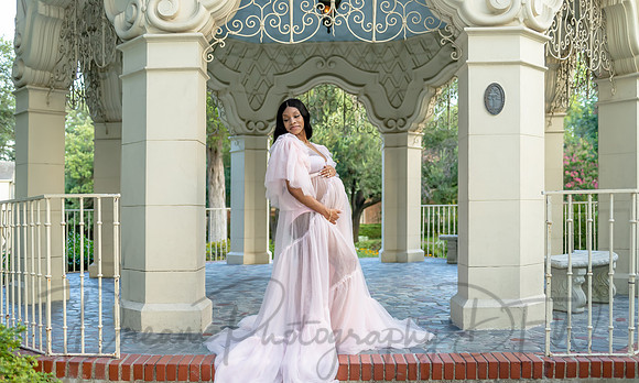 Essence Caldwell Maternity-16