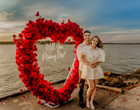 Sophia & Elian Wedding Proposal