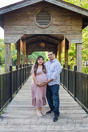 Estefany Fernandez La Torre Family Maternity-22