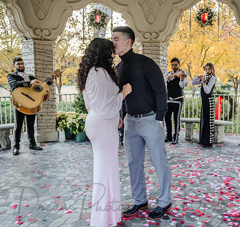 Jasyn & Brianna Wedding Proposal-12