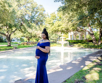 Brittany Hamilton Family Maternity-4