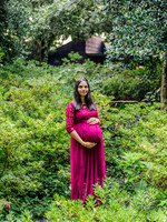 Hari Priya Family Maternity-2