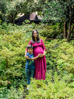 Hari Priya Family Maternity-3