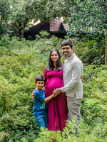 Hari Priya Family Maternity-5