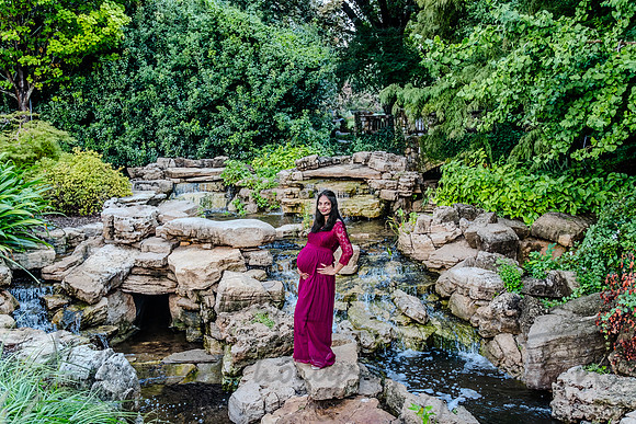 Hari Priya Family Maternity-10