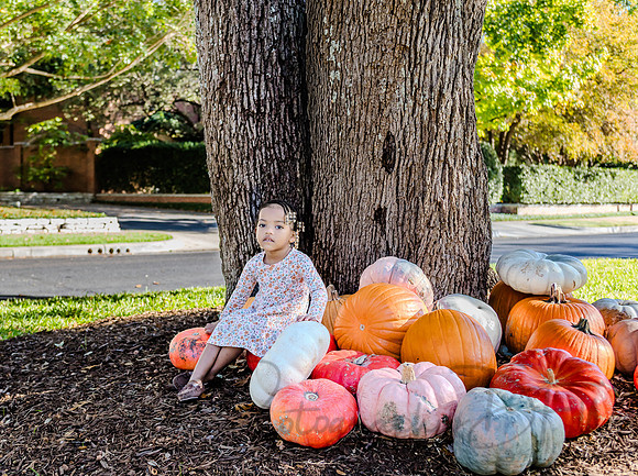 Ashley Hodridge & Family-24