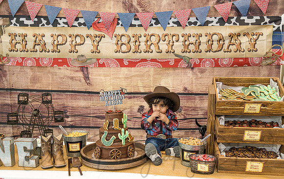 Aaron's 1st Birthday-15