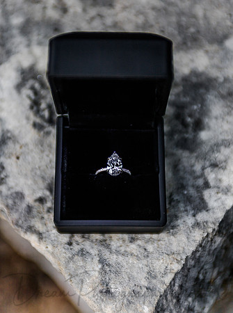Jascob Hernandez Wedding Proposal-54