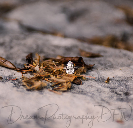 Jascob Hernandez Wedding Proposal-55