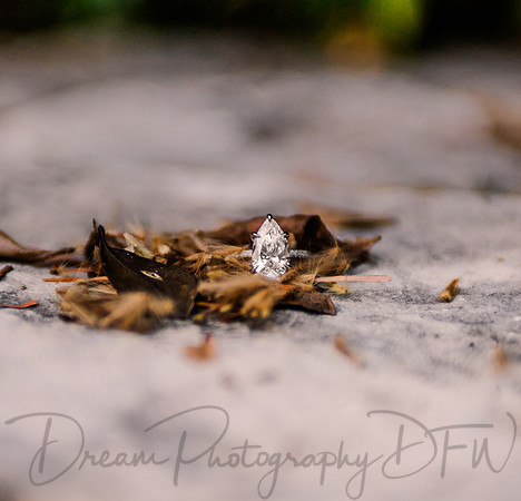 Jascob Hernandez Wedding Proposal-56