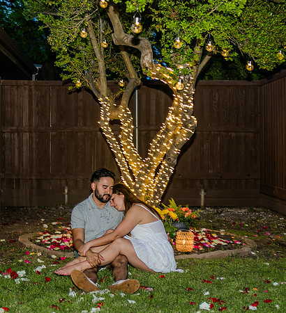 Jesus Estrada Wedding Proposal-41