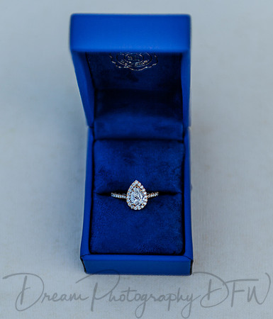 Jesus Estrada Wedding Proposal-7