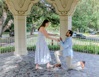 Kavin Patel Wedding Proposal-7