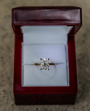 Kavin Patel Wedding Proposal-22