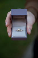 Logan Voss & Lacy Engagement-23