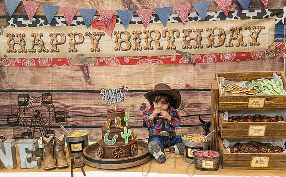 Aaron's 1st Birthday-16