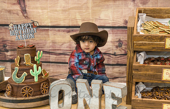 Aaron's 1st Birthday-19