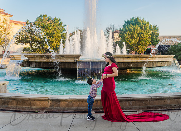 Chahat Family Maternity-13