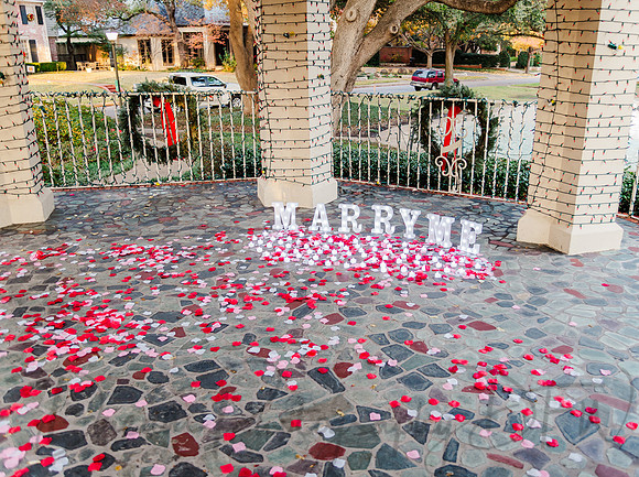 Jasyn & Brianna Wedding Proposal-1
