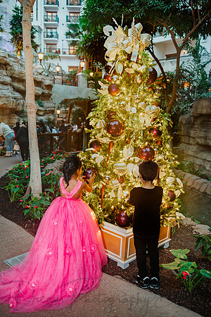 Sandra Reddy Childrens-37