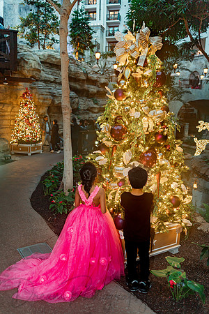 Sandra Reddy Childrens-38