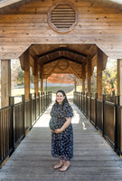 Shlomit Rosenkrantz Family Maternity-6