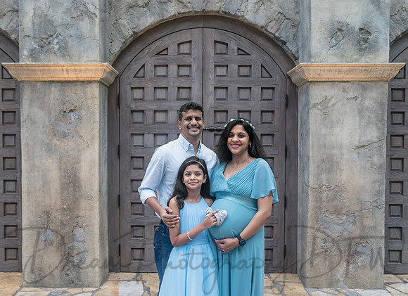 Ann Babu Family Maternity-49