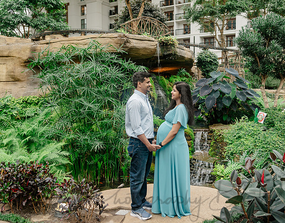 Ann Babu Family Maternity-9