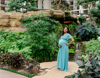 Ann Babu Family Maternity-8