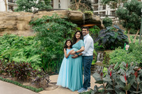 Ann Babu Family Maternity-16