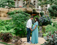 Ann Babu Family Maternity-12