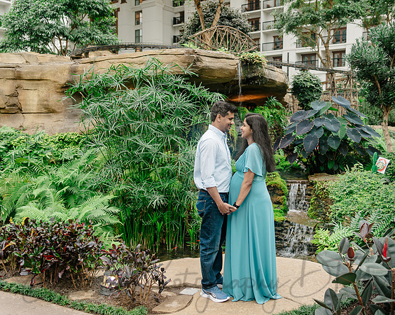 Ann Babu Family Maternity-11