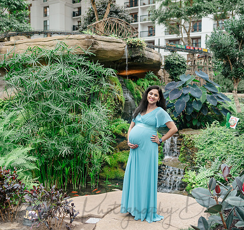 Ann Babu Family Maternity-7