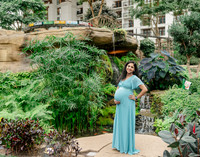 Ann Babu Family Maternity-6
