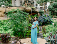 Ann Babu Family Maternity-4