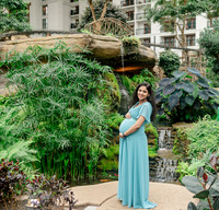Ann Babu Family Maternity-5