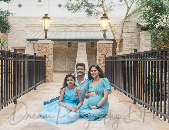 Ann Babu Family Maternity-52