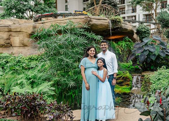 Ann Babu Family Maternity-1