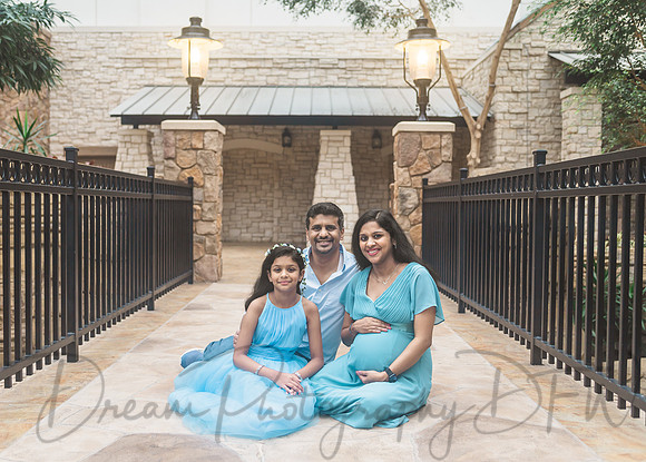 Ann Babu Family Maternity-51