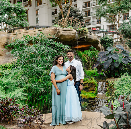 Ann Babu Family Maternity-2