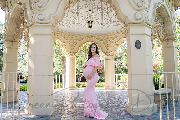 Rebecca Pridgeon Family Maternity-40