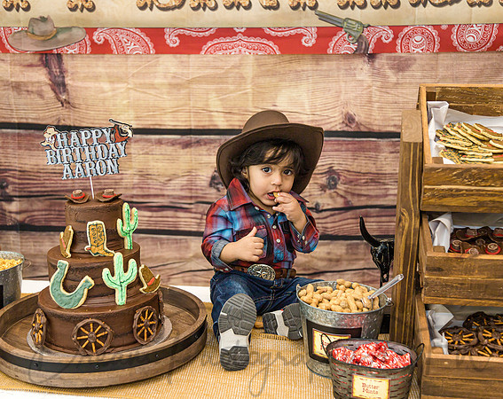 Aaron's 1st Birthday-14