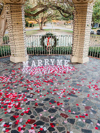 Jasyn & Brianna Wedding Proposal-2