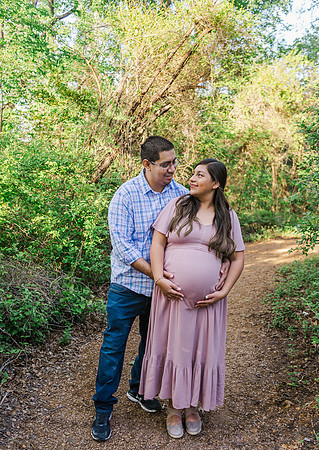 Estefany Fernandez La Torre Family Maternity-15