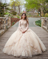 Laura Robles Quinceanera-1