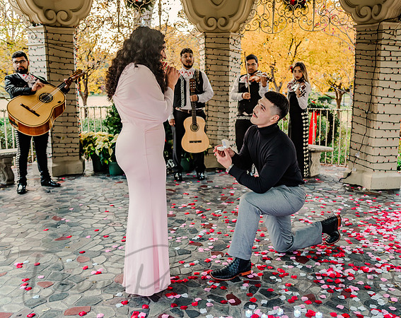 Jasyn & Brianna Wedding Proposal-15