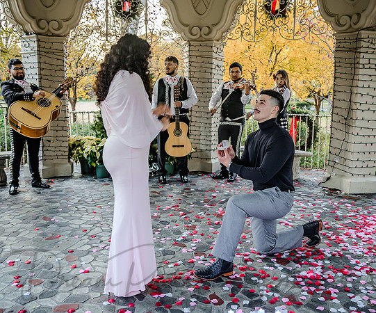 Jasyn & Brianna Wedding Proposal-13